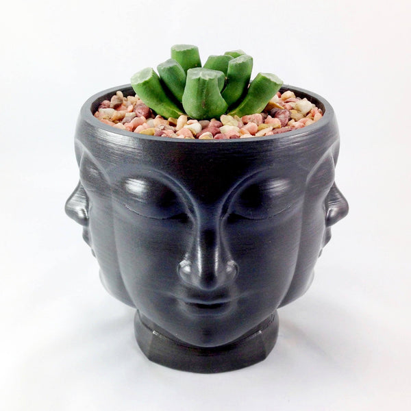 3D Printed Multi head plant pot. Modern stylish planter decor - great for cacti and succulents, or as a flower pot. Gift idea!