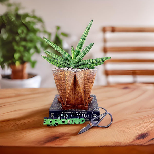 3D Printed Wood Geometric Star Plant Pot and Saucer - Modern Organic Decor for Cacti, Succulents, or Flowers - Unique Gift Idea