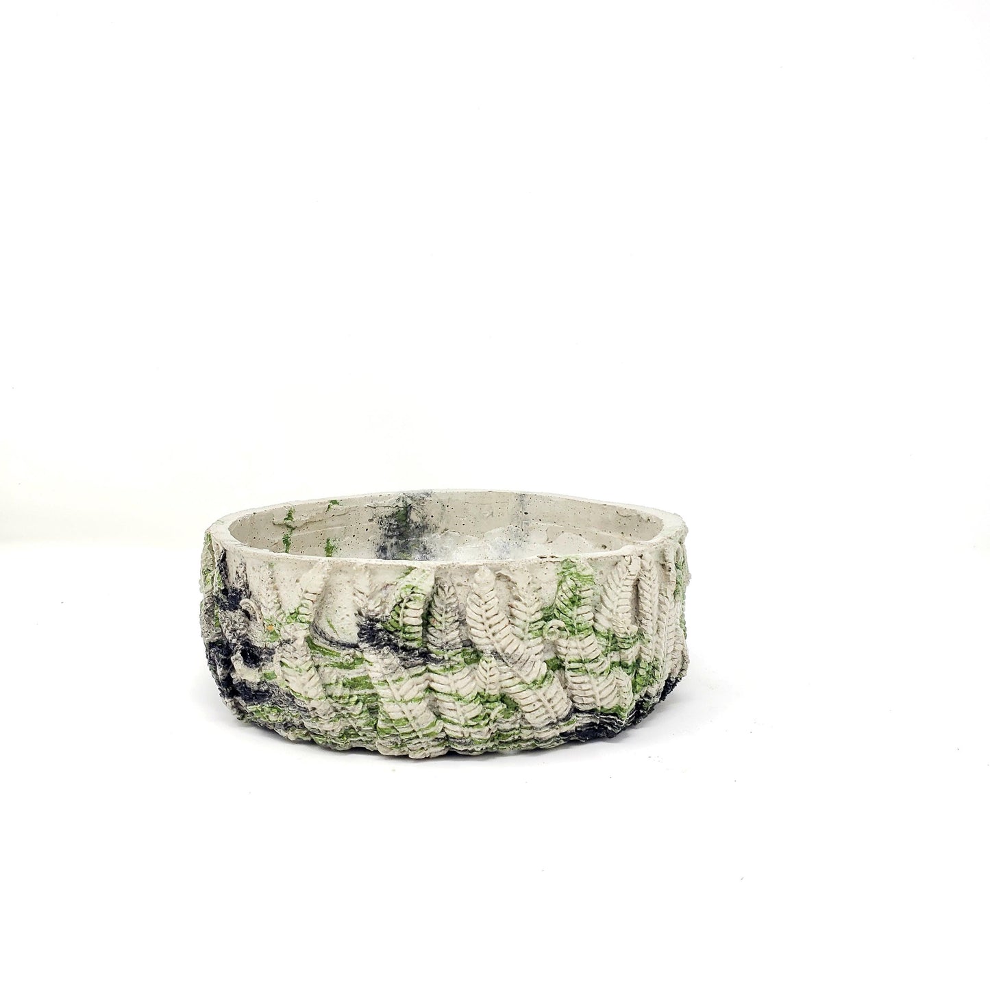 Fern Bowl
