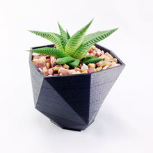 SET OF 4 - 3D Printed geometric mini plant pots - Modern edgy decor - great for cacti and succulents, or as a flower pot. Gift idea!