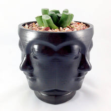 3D Printed Multi head plant pot. Modern stylish planter decor - great for cacti and succulents, or as a flower pot. Gift idea!