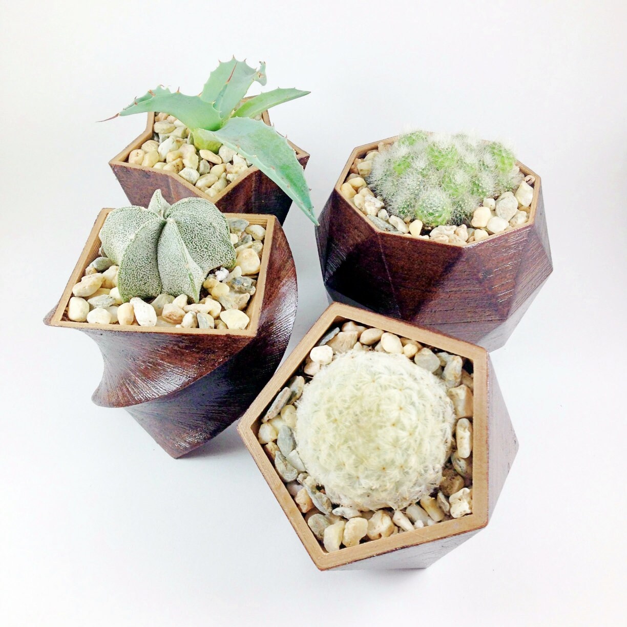 SET OF 4 - 3D Printed wood geometric small plant pots. Modern organic decor - great for cacti and succulents, or as a flower pot!