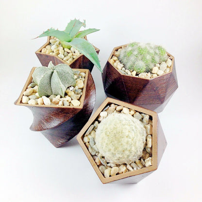 SET OF 4 - 3D Printed wood geometric small plant pots. Modern organic decor - great for cacti and succulents, or as a flower pot!