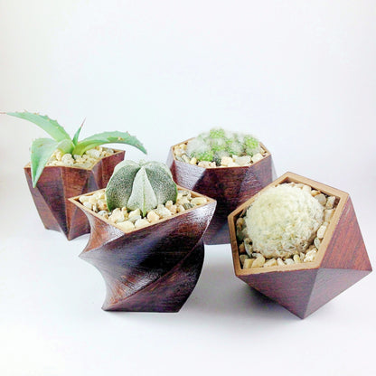 SET OF 4 - 3D Printed wood geometric small plant pots. Modern organic decor - great for cacti and succulents, or as a flower pot!