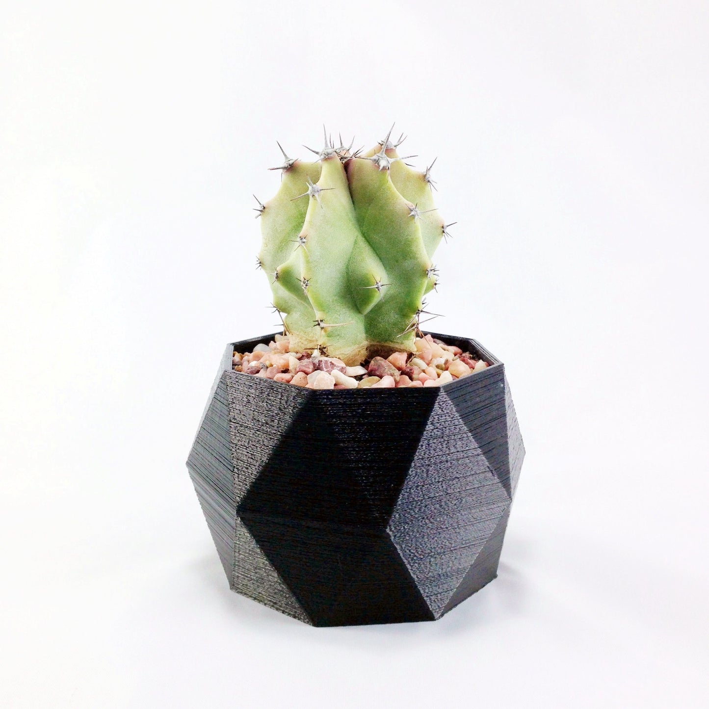 SET OF 4 - 3D Printed geometric mini plant pots - Modern edgy decor - great for cacti and succulents, or as a flower pot. Gift idea!