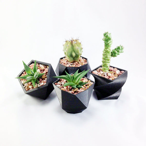 SET OF 4 - 3D Printed geometric mini plant pots - Modern edgy decor - great for cacti and succulents, or as a flower pot. Gift idea!