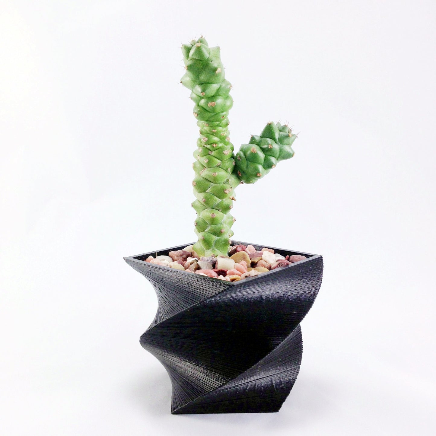 SET OF 4 - 3D Printed geometric mini plant pots - Modern edgy decor - great for cacti and succulents, or as a flower pot. Gift idea!