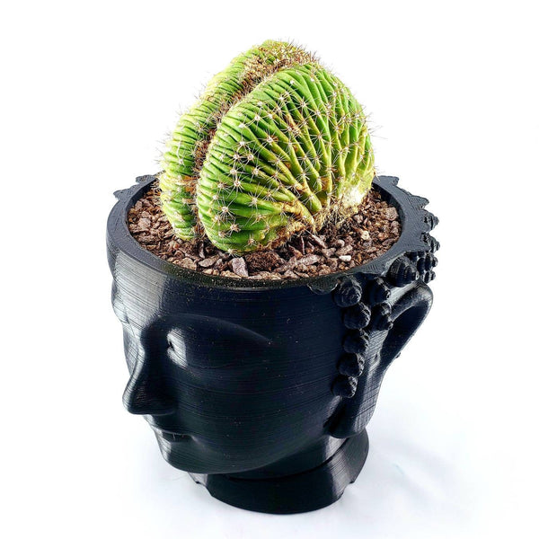 3D Printed Buddha head plant pot. Modern stylish planter decor - great for cacti and succulents, or as a flower pot. Gift idea!