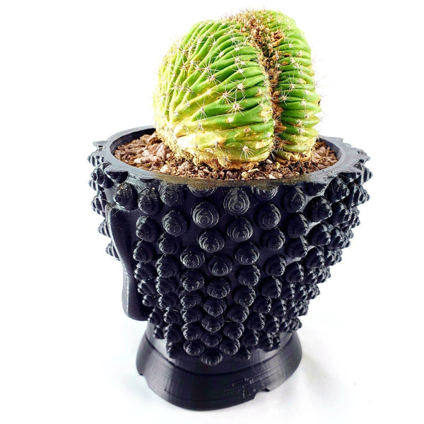 3D Printed Buddha head plant pot. Modern stylish planter decor - great for cacti and succulents, or as a flower pot. Gift idea!