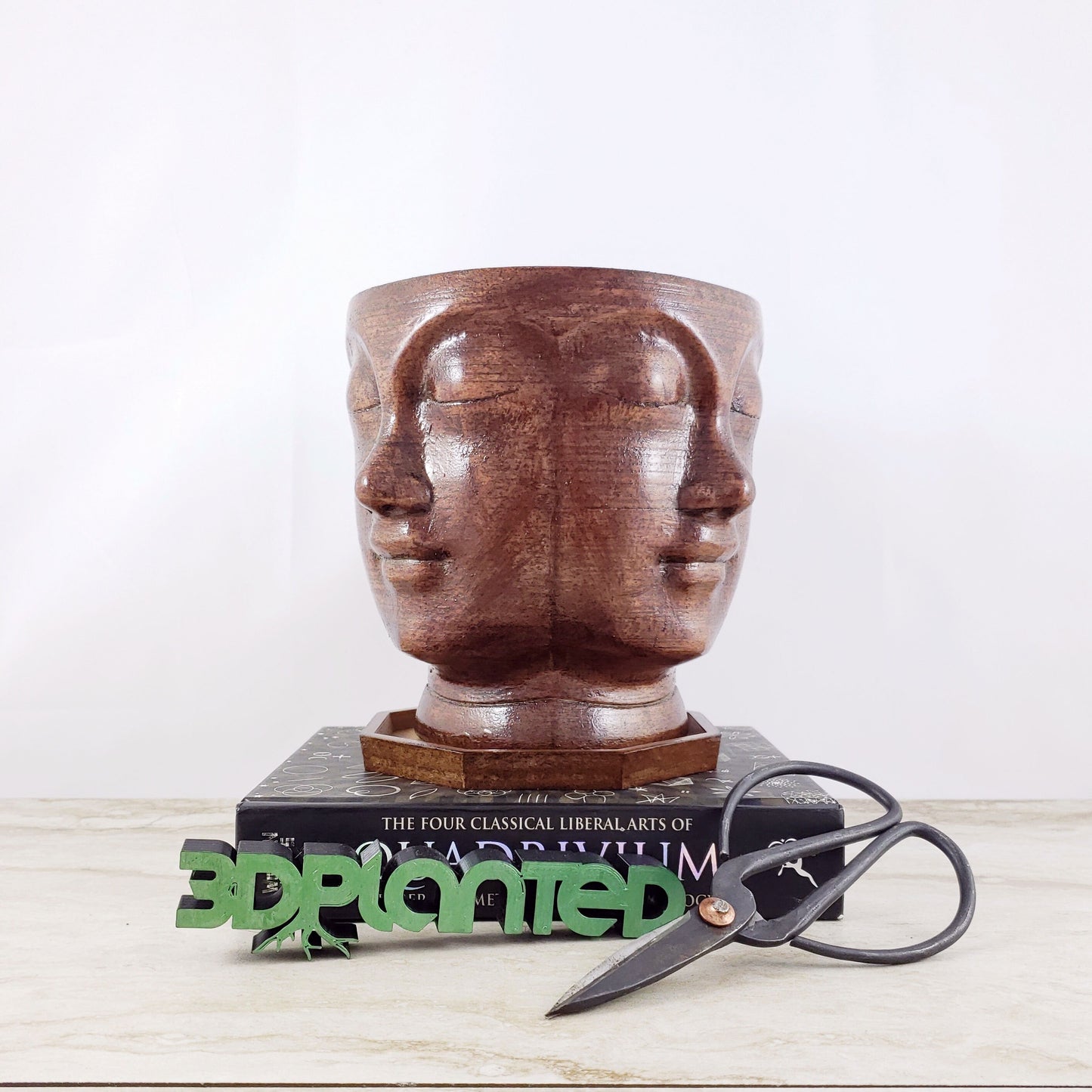 Modern 3D Printed Wood Face Plant Pot and Saucer - Ideal for Cacti, Succulents, or Flowers - Head Planter