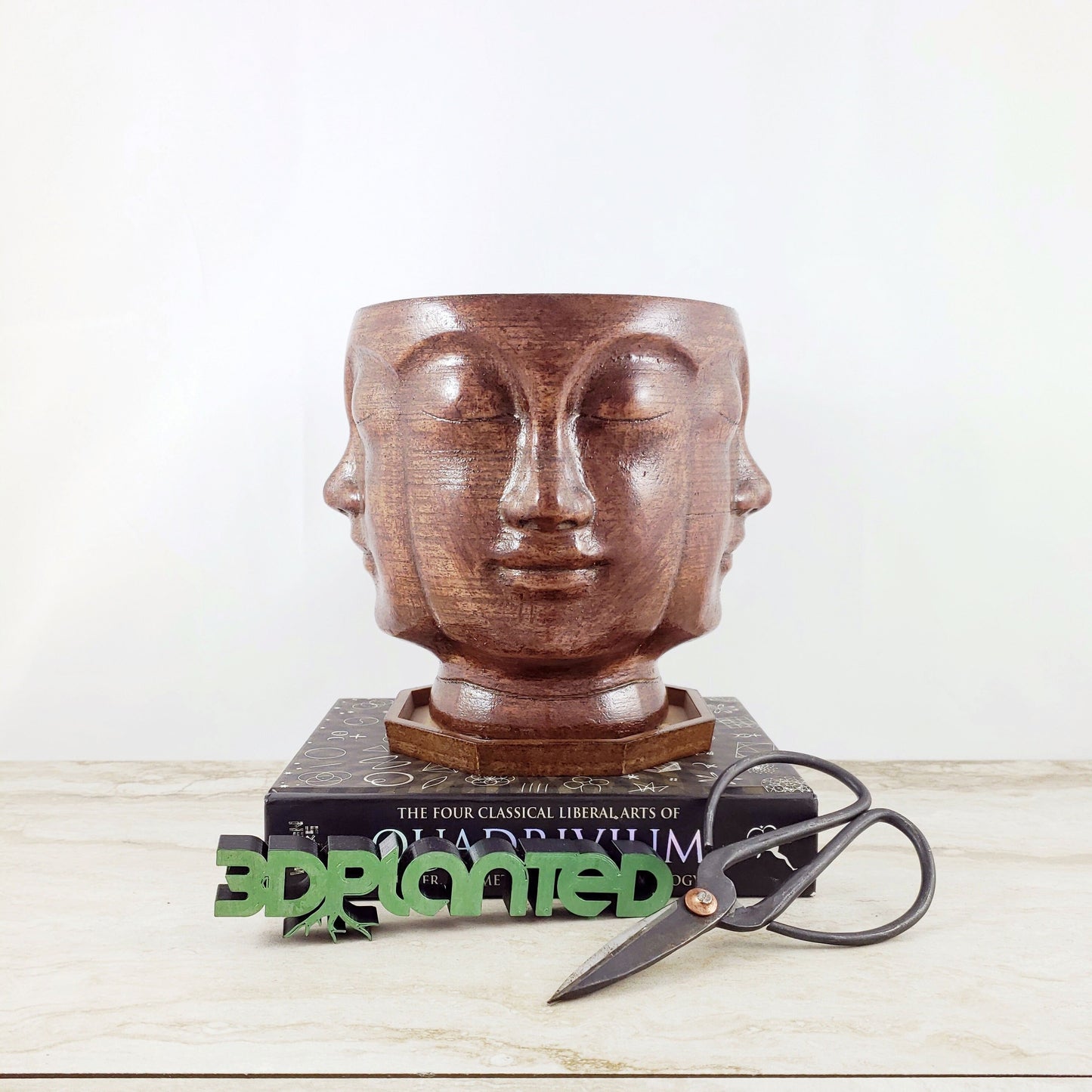 Modern 3D Printed Wood Face Plant Pot and Saucer - Ideal for Cacti, Succulents, or Flowers - Head Planter