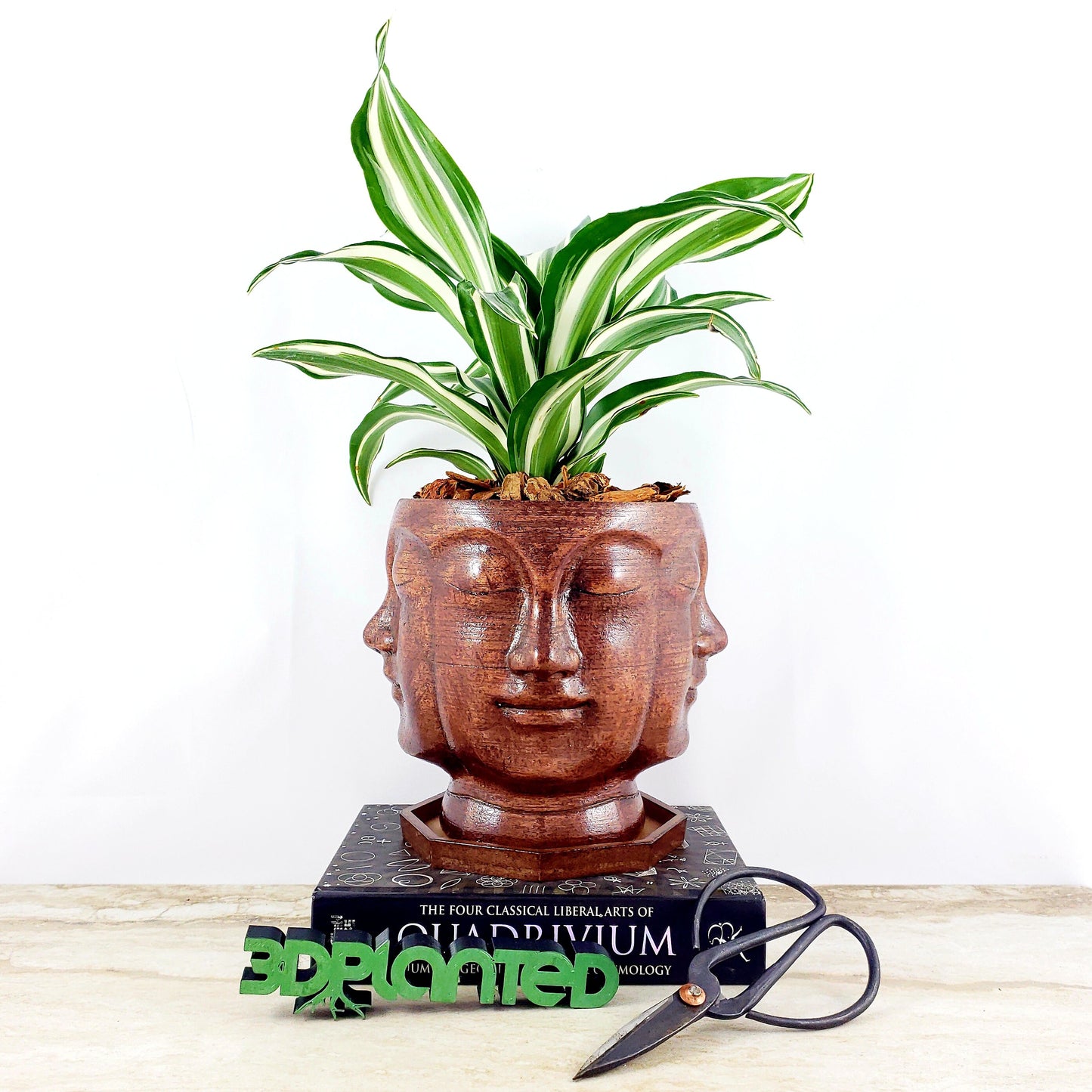 Modern 3D Printed Wood Face Plant Pot and Saucer - Ideal for Cacti, Succulents, or Flowers - Head Planter