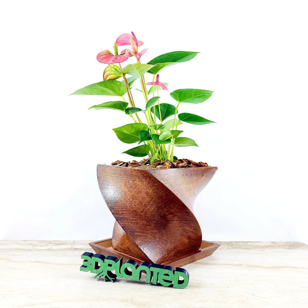 Modern 3D Printed Wood Geometric Square Twist Planter with Saucer - Organic Decor for Cacti, Succulents, and Flowers - Gift Idea!