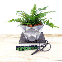 Concrete Planter Star Geometric - Indoor/Outdoor Plant Pot
