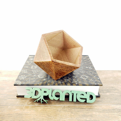 SET OF 4 - 3D Printed wood geometric small plant pots. Modern organic decor - great for cacti and succulents, or as a flower pot!