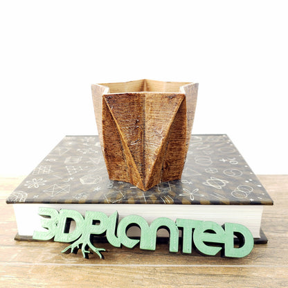 SET OF 4 - 3D Printed wood geometric small plant pots. Modern organic decor - great for cacti and succulents, or as a flower pot!
