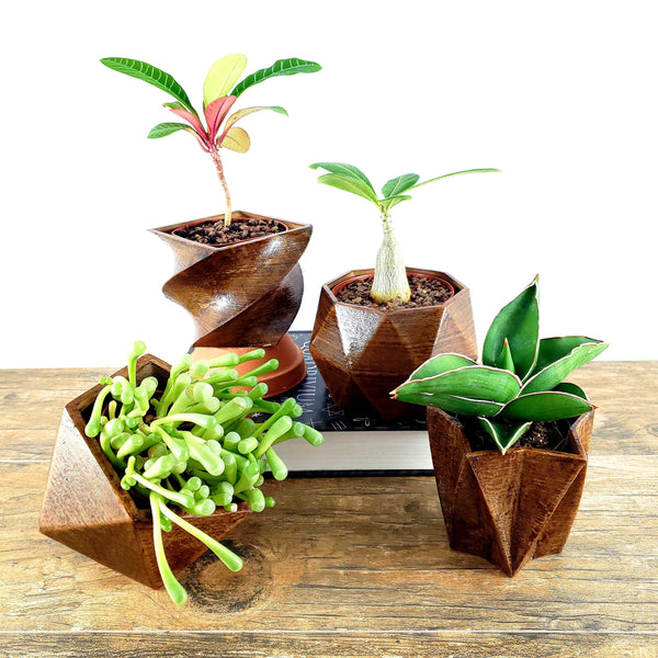 SET OF 4 - 3D Printed wood geometric small plant pots. Modern organic decor - great for cacti and succulents, or as a flower pot!