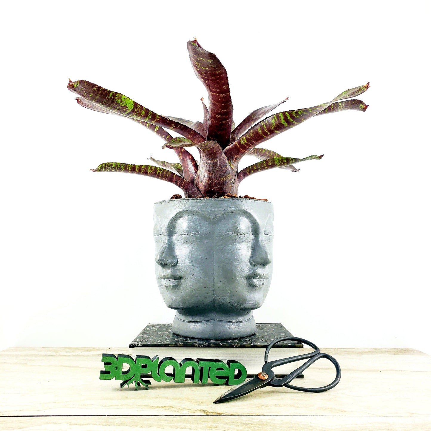 Concrete Planter Faces - Head Pot - Indoor/Outdoor Plant Pot