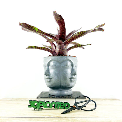 Concrete Planter Faces - Head Pot - Indoor/Outdoor Plant Pot