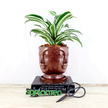 Modern 3D Printed Wood Face Plant Pot and Saucer - Ideal for Cacti, Succulents, or Flowers - Head Planter