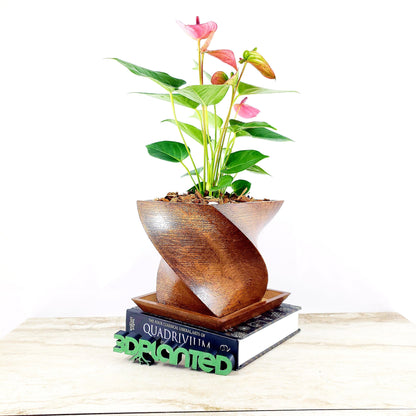 Modern 3D Printed Wood Geometric Square Twist Planter with Saucer - Organic Decor for Cacti, Succulents, and Flowers - Gift Idea!