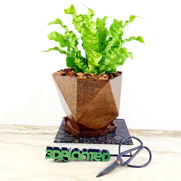 Modern 3D Printed Wood Geometric Plant Pot with Saucer - Eco-Friendly Organic Decor for Cacti, Succulents, and Flowers - Unique Gift Idea