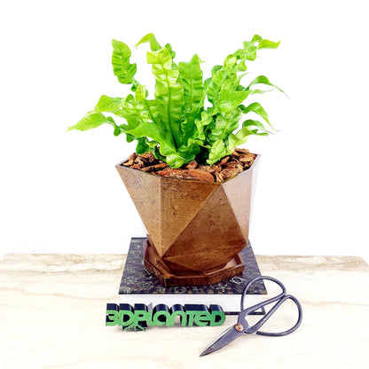 Modern 3D Printed Wood Geometric Plant Pot with Saucer - Eco-Friendly Organic Decor for Cacti, Succulents, and Flowers - Unique Gift Idea