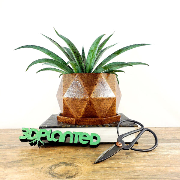 Modern 3D Printed Wood Geometric Octagon Plant Pot and Saucer - Organic Decor for Cacti, Succulents, Flowers