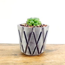 Concrete Planter Lattice Small Geometric - Indoor/Outdoor Plant Pot