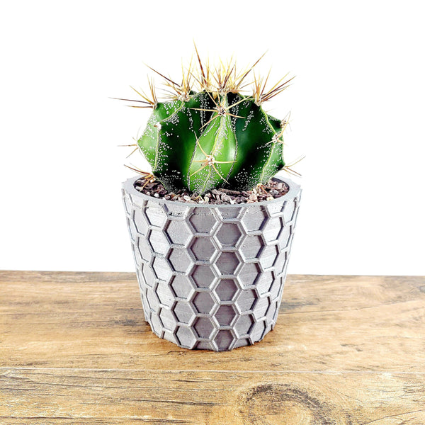 Concrete Planter Honeycomb Geometric - Indoor/Outdoor Plant Pot