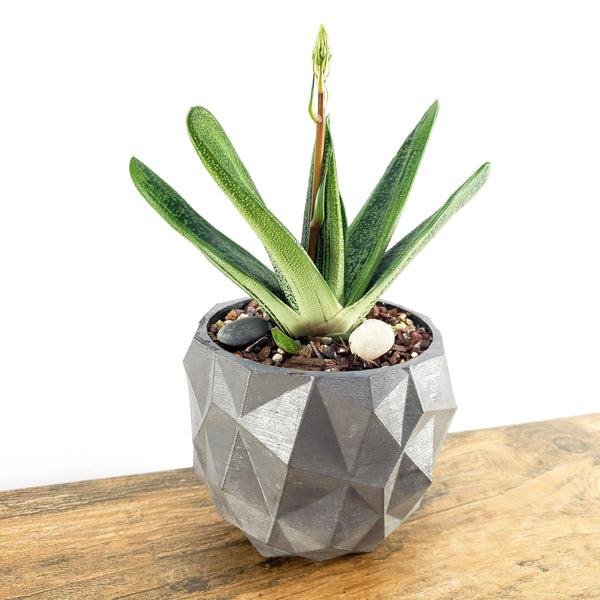 Concrete Planter Triangles Small Geometric - Indoor/Outdoor Plant Pot
