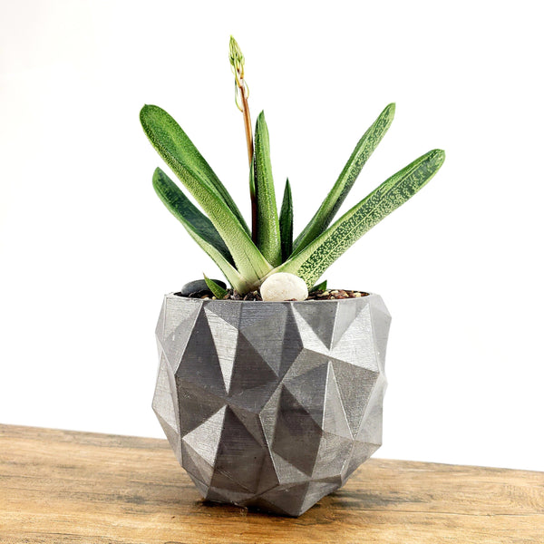 Concrete Planter Triangles Small Geometric - Indoor/Outdoor Plant Pot