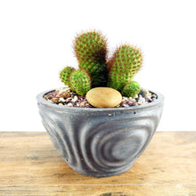 Concrete Planter Wave Bowl Geometric - Indoor/Outdoor Plant Pot