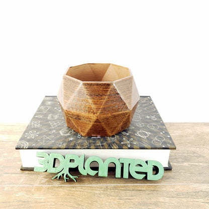 SET OF 4 - 3D Printed wood geometric small plant pots. Modern organic decor - great for cacti and succulents, or as a flower pot!