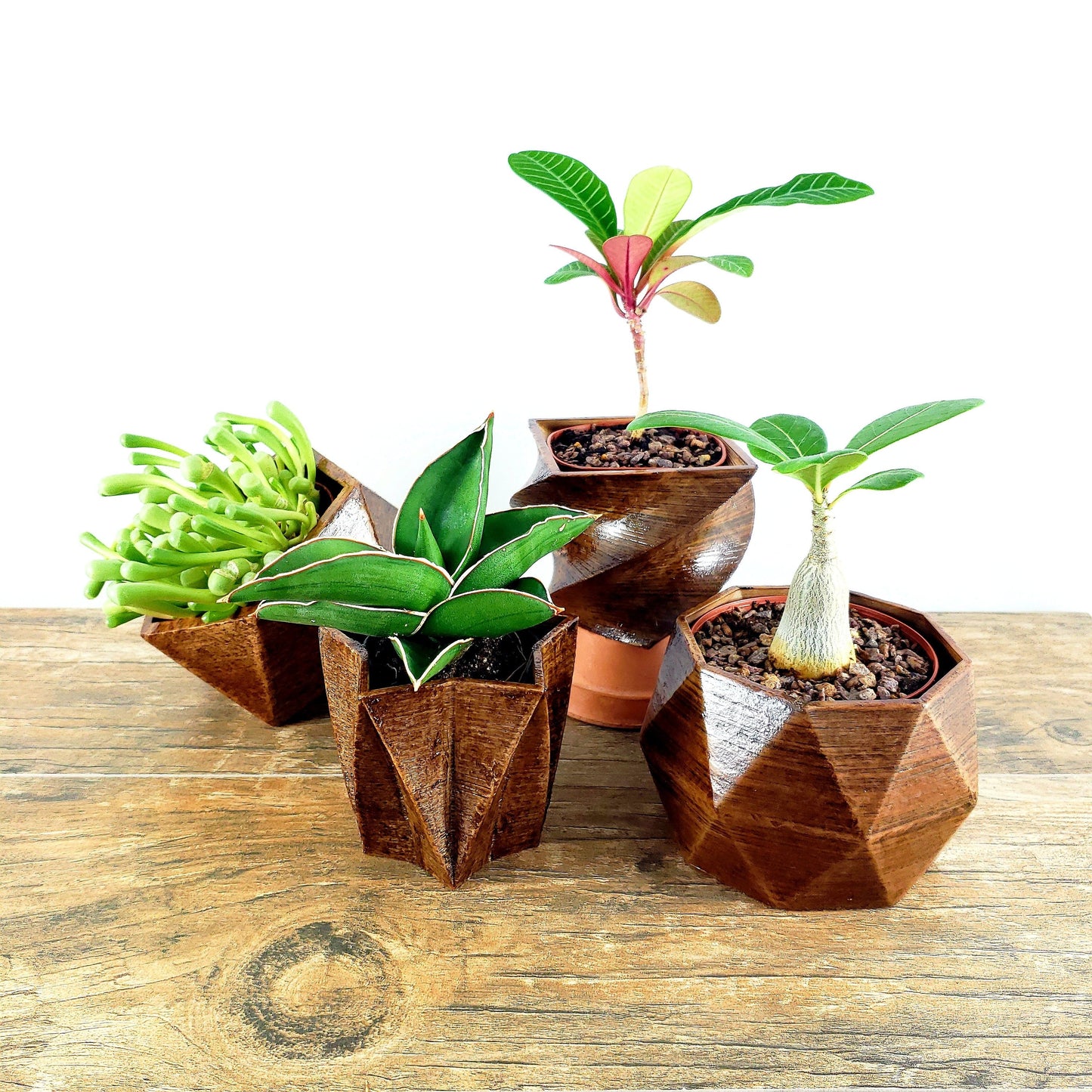 SET OF 4 - 3D Printed wood geometric small plant pots. Modern organic decor - great for cacti and succulents, or as a flower pot!