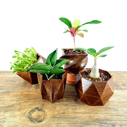 SET OF 4 - 3D Printed wood geometric small plant pots. Modern organic decor - great for cacti and succulents, or as a flower pot!