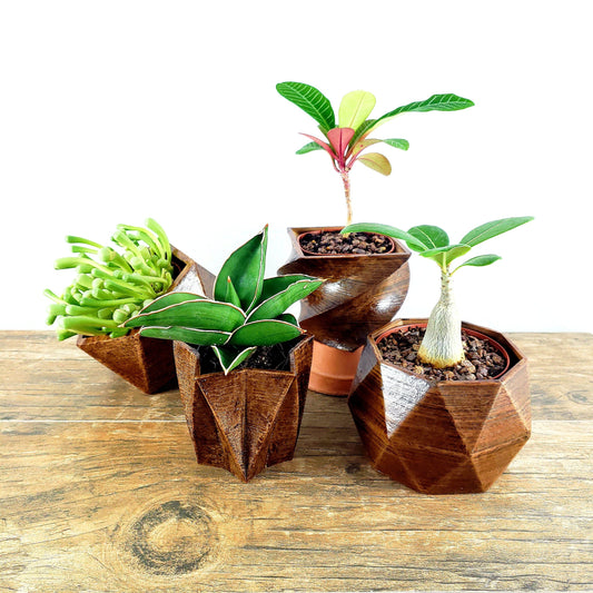SET OF 4 - 3D Printed wood geometric small plant pots. Modern organic decor - great for cacti and succulents, or as a flower pot!