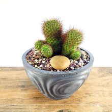 Concrete Planter Wave Bowl Geometric - Indoor/Outdoor Plant Pot