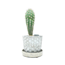 Concrete Planter Honeycomb Geometric - Indoor/Outdoor Plant Pot