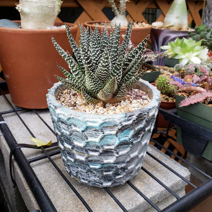 Concrete Planter Honeycomb Geometric - Indoor/Outdoor Plant Pot