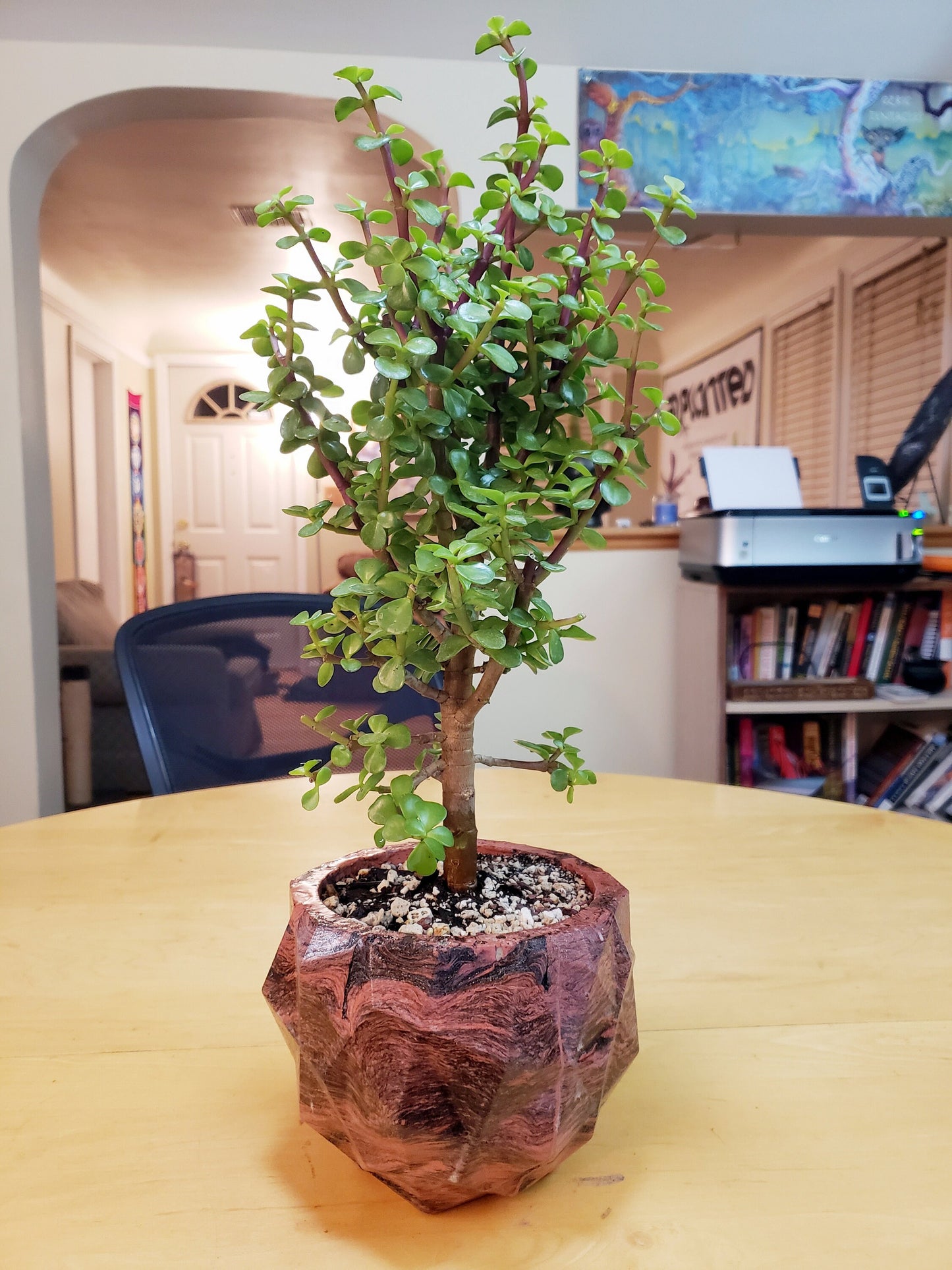 Concrete Planter Triangles Geometric - Indoor/Outdoor Plant Pot