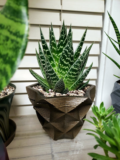 Concrete Planter Star Geometric - Indoor/Outdoor Plant Pot