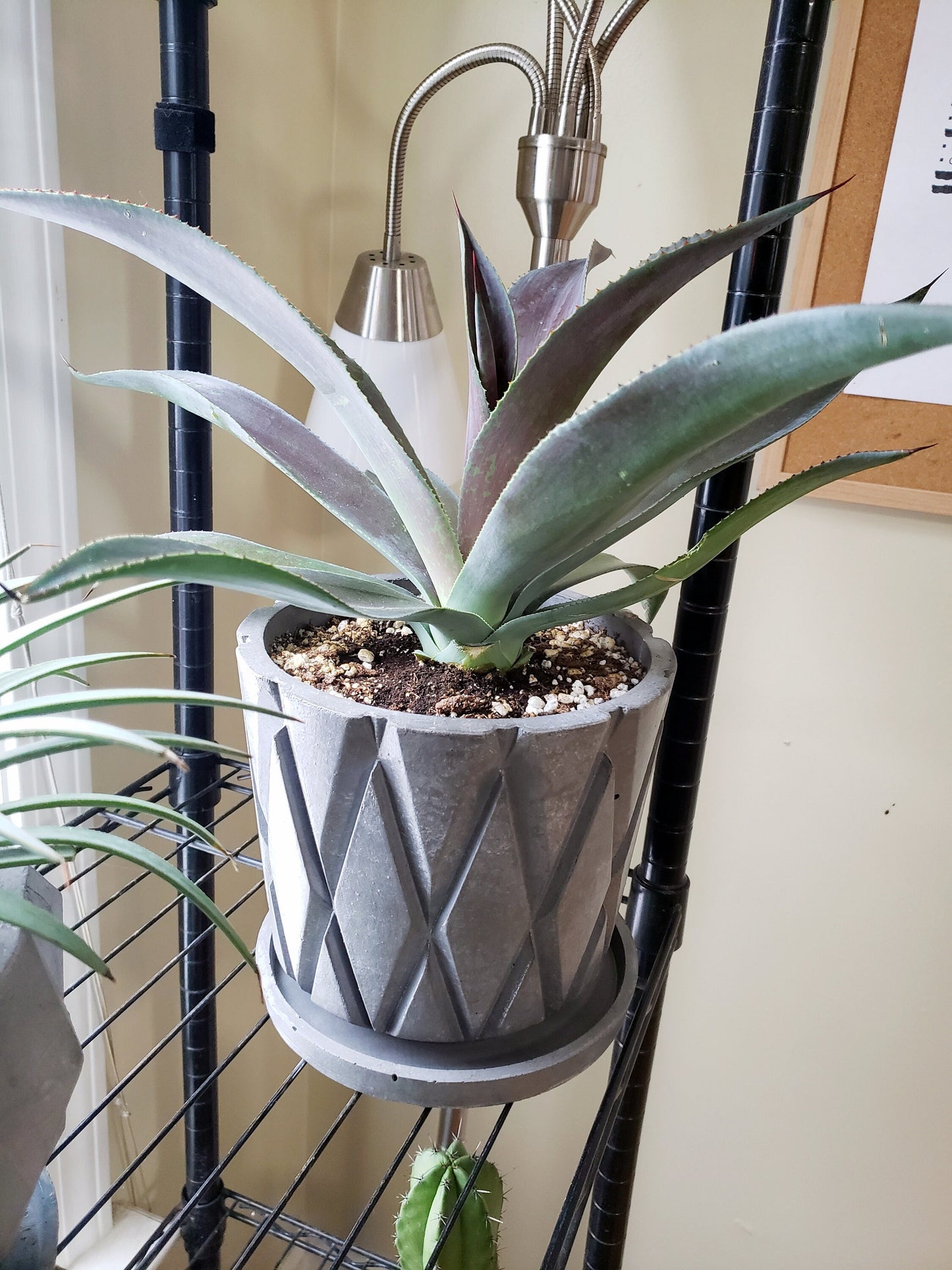 Concrete Planter Large Lattice - Indoor/Outdoor Plant Pot