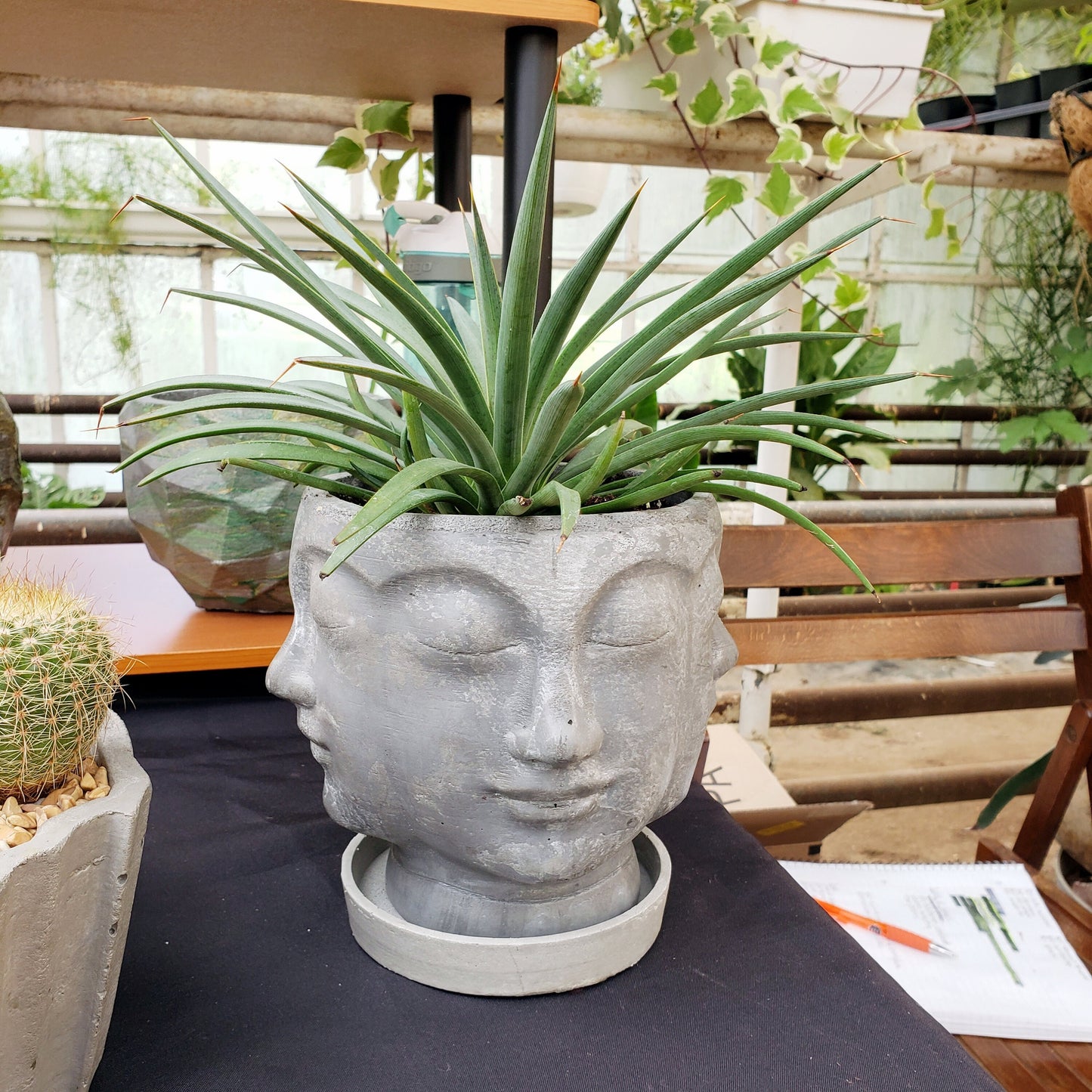 Concrete Planter Faces - Head Pot - Indoor/Outdoor Plant Pot