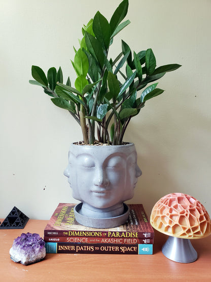 Concrete Planter Faces - Head Pot - Indoor/Outdoor Plant Pot