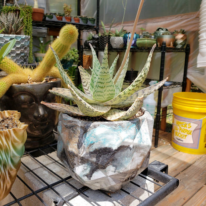 Concrete Planter Triangles Geometric - Indoor/Outdoor Plant Pot