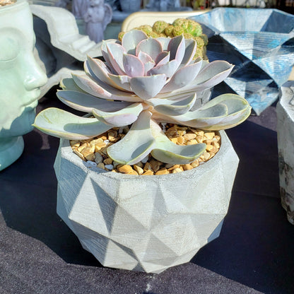 Concrete Planter Triangles Small Geometric - Indoor/Outdoor Plant Pot