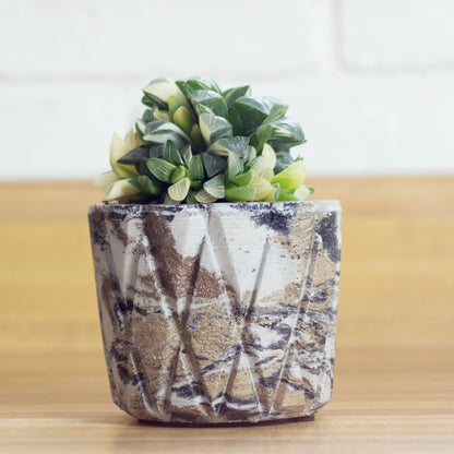 Geometric Lattice Planter from Concrete Multicolor Indoor Outdoor Plant Flower Pot Modern Contemporary Creative Cactus Container Gift