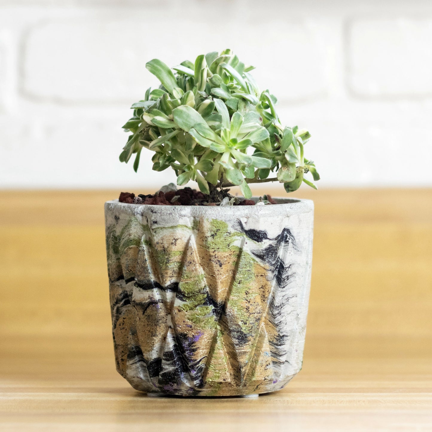 Geometric Lattice Planter from Concrete Multicolor Indoor Outdoor Plant Flower Pot Modern Contemporary Creative Cactus Container Gift