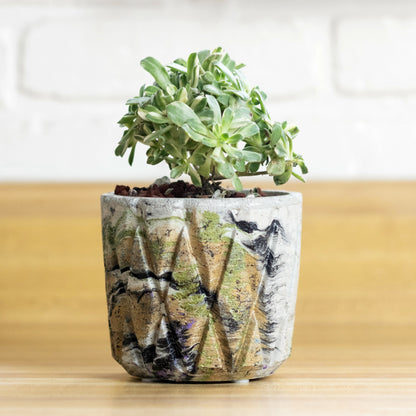 Geometric Lattice Planter from Concrete Multicolor Indoor Outdoor Plant Flower Pot Modern Contemporary Creative Cactus Container Gift